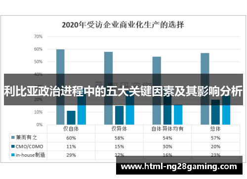 利比亚政治进程中的五大关键因素及其影响分析