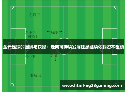金元足球的困境与抉择:走向可持续发展还是继续依赖资本驱动 金元足球的困境与抉择:走向可持续发展还是继续依赖资本驱动