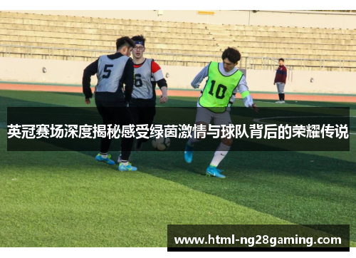 英冠赛场深度揭秘感受绿茵激情与球队背后的荣耀传说