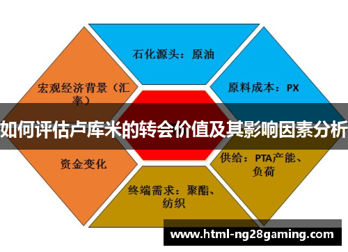 如何评估卢库米的转会价值及其影响因素分析 如何评估卢库米的转会价值及其影响因素分析