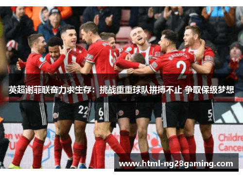 英超谢菲联奋力求生存：挑战重重球队拼搏不止 争取保级梦想