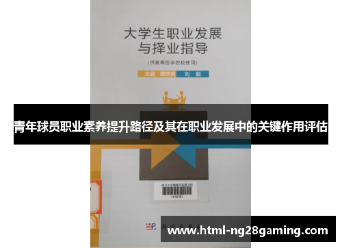 青年球员职业素养提升路径及其在职业发展中的关键作用评估 青年球员职业素养提升路径及其在职业发展中的关键作用评估