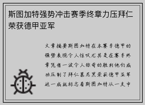 斯图加特强势冲击赛季终章力压拜仁荣获德甲亚军